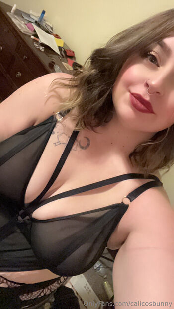 calicosbunny
