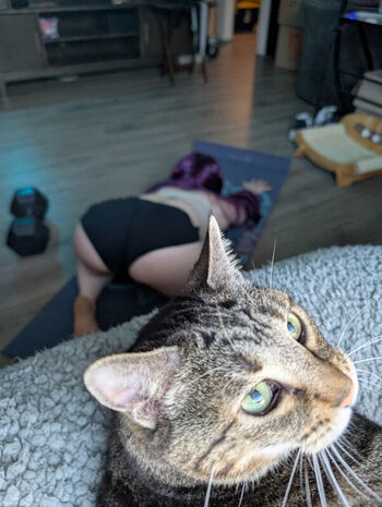 Full leaked Kitty bit games private onlyfans photo